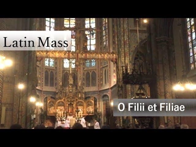 O Filii et Filiae (Latin Mass)