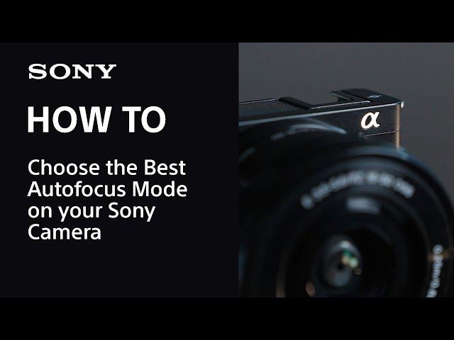 Choosing the Best Autofocus Modes on your Sony Camera