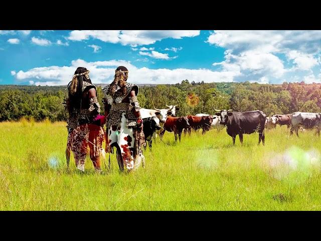 Inkabi Zezwe, Sjava & Big Zulu - Ilanga [Official Visualiser]