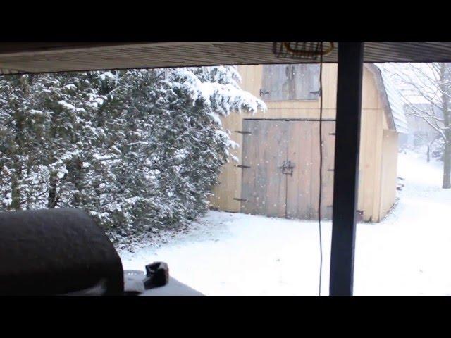 Average Canadian Winter