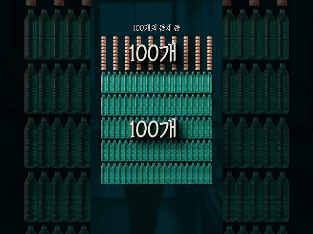 해외 2400만 과학 유튜버가 한국은 끝났다고 한 이유!