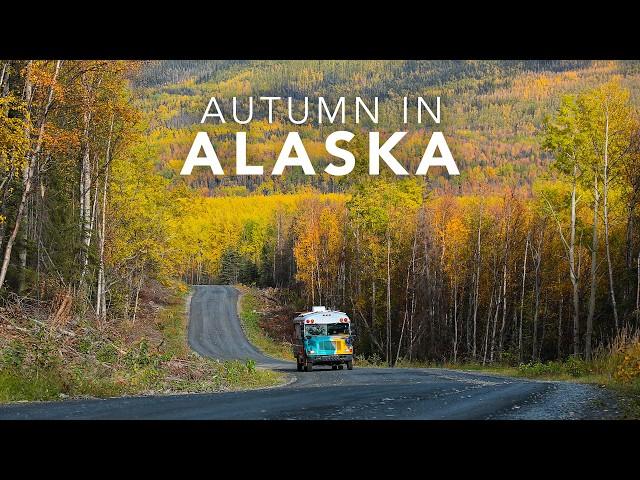 We Found Alaska's BEST Fall Colors (It Wasn't Easy)