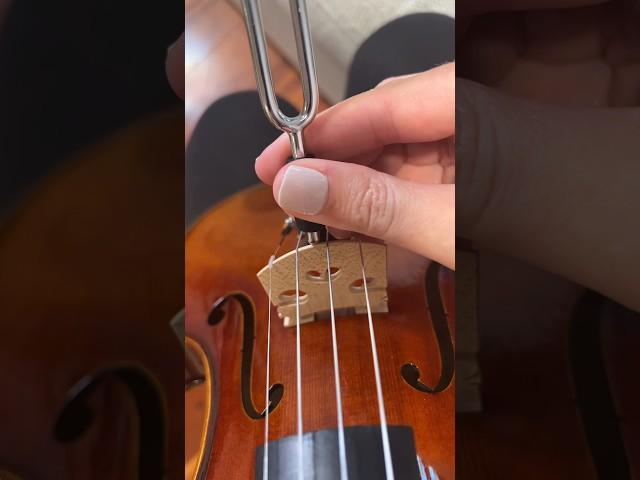 ASMR #violin