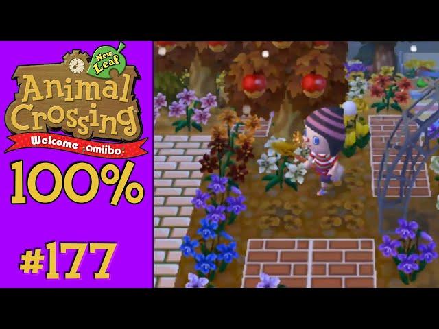 Animal Crossing: New Leaf 100% - #177: Final Preparations...