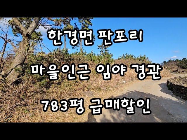 제주시 한경면 판포리 마을인근 임야 경관 783평 급매할인 010 4436 0401 제주도부동산 토지 매매 급매물