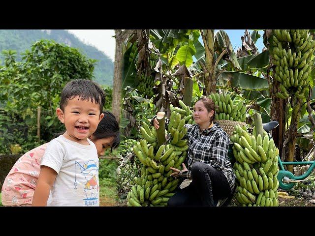 19 year old single mother - Harvesting bananas to sell at the market & Making banana bean soup