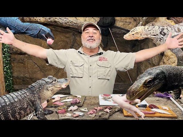 FEEDING PREHISTORIC REPTILES