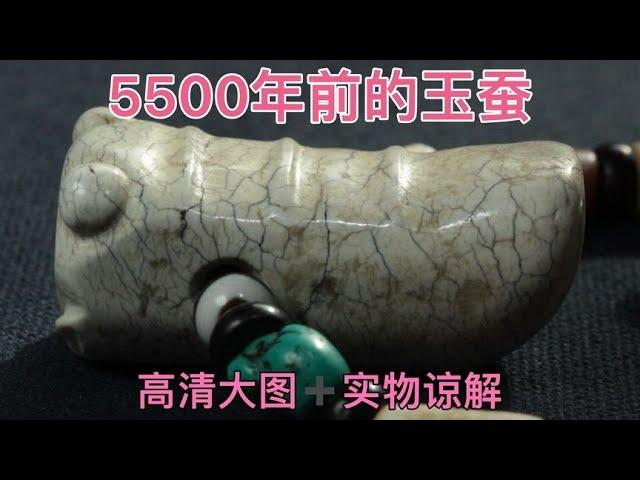 楚玉茶道：5500年前的红山玉蚕，详细解析微痕工艺特征！