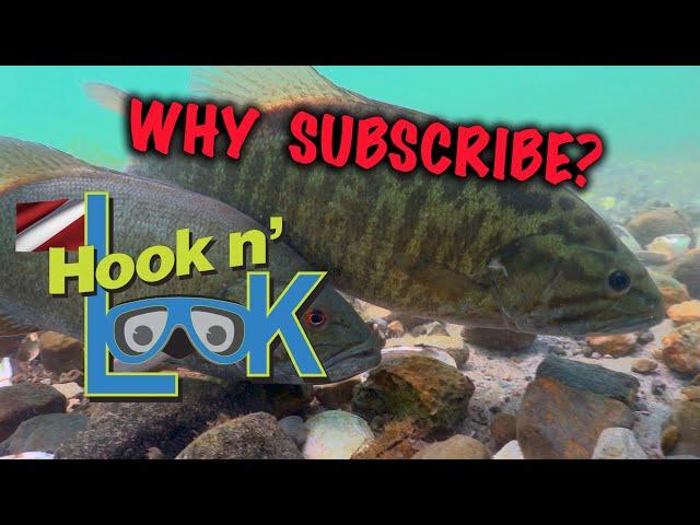 Why Subscribe to Hook n' Look?