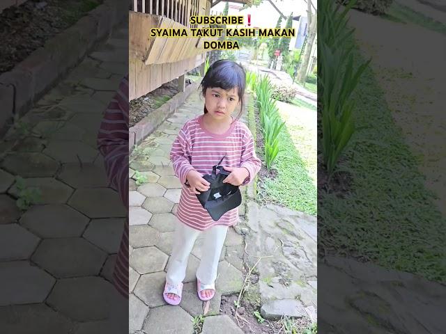SUBSCRIBE️SYAIMA TAKUT KASIH MAKAN DOMBA #fyp #shortvideo #shorts #viralvideo #trending #myvideo