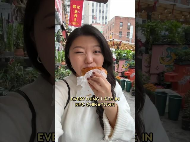 Everything I ate in NYC Chinatown 