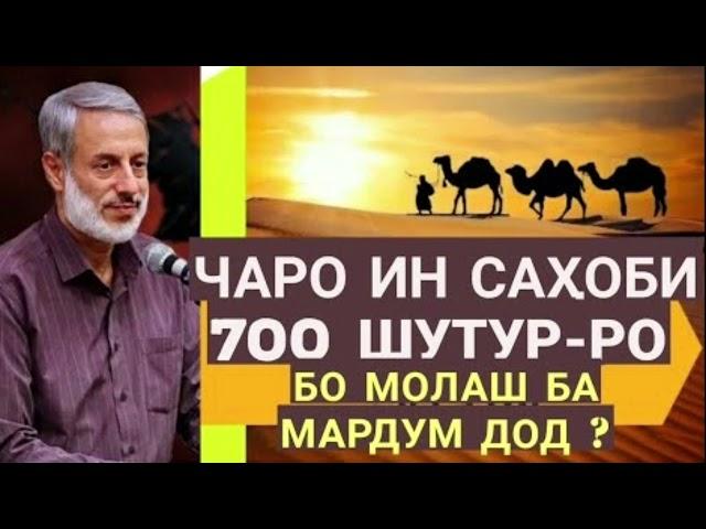 ЧАРО ИН САҲОБА 700 ШУТУРРО БО МОЛАШ БА МАРДУМ ДОД?