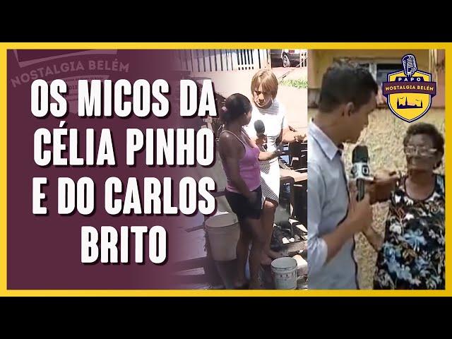 OS MICOS DA CÉLIA PINHO E DO CARLOS BRITO NA TV