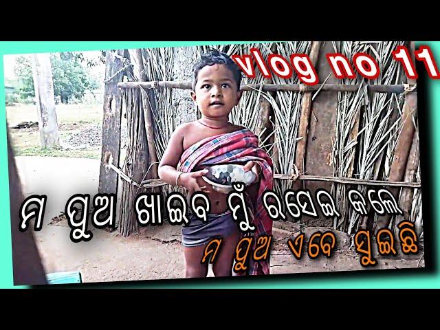 vlog no 11 ମ ପୁଅ ଖାଇବ ମୁଁ ରସେଇ କଲେ ମ ପୁଅ ଏବେ ସୁଇଛି #odia #odisha #chitranshi #vlog #ଅନୁଗୋଳ #odiavlog