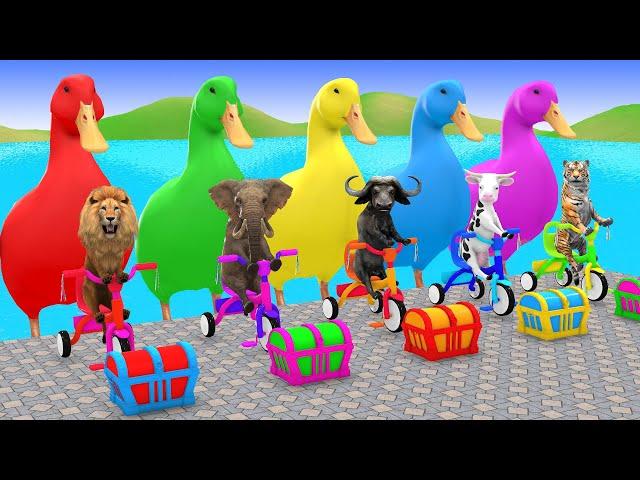 Long Slide Game With Elephant Gorilla Buffalo Hippopotamus Tiger 3d Animal Game Funny 3d Animals