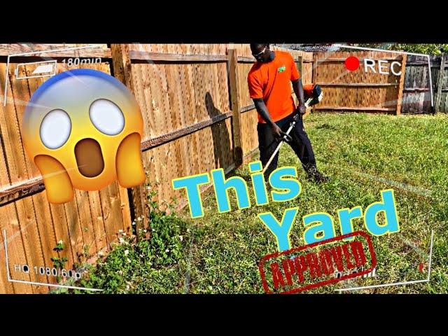 Overgrown Mowing New Customer Tall Grass DND Vlog #2 Instantly Satisfying Lawn Care