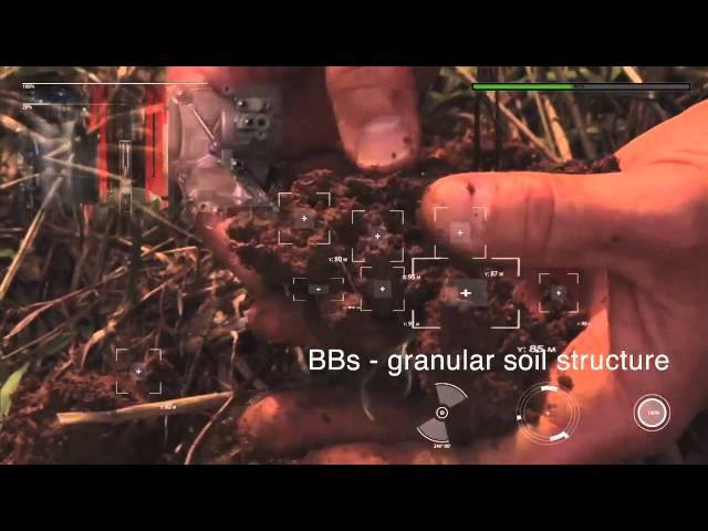 Soil health lesson in a minute: how healthy soil should look