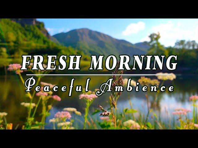 Begin Your Day with POSITIVE ENERGYHealing Nature Sounds | Fresh Morning Peaceful Lake Ambience#1