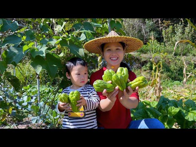 Stir-fried chayote, crispy in the mouth, delicious and nutritious