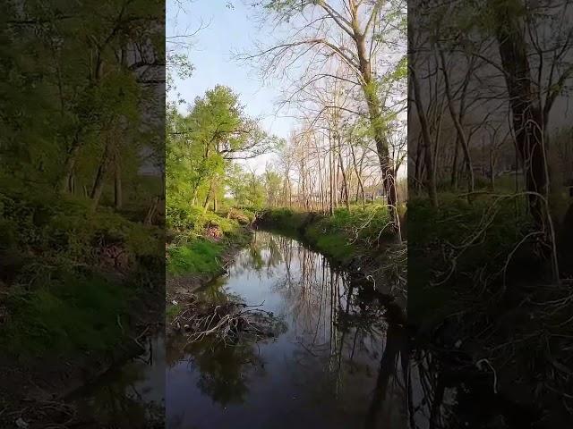The Deeper the Love… DJI Avata