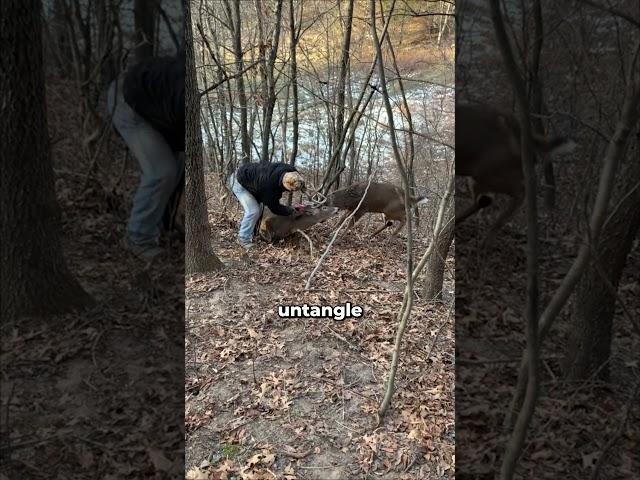Humanity over personal gain ️