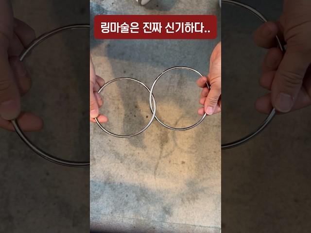 비밀을 알아도 몰라도 신기한 마술