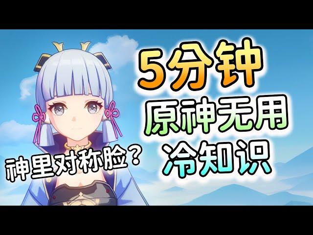 【原神】5分钟关于原神的无用冷知识