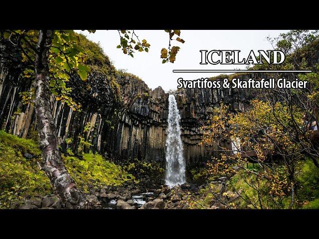 Skaftafell-Vatnajokull National Park, Hundafoss, Svartifoss & Skaftafell Glacier