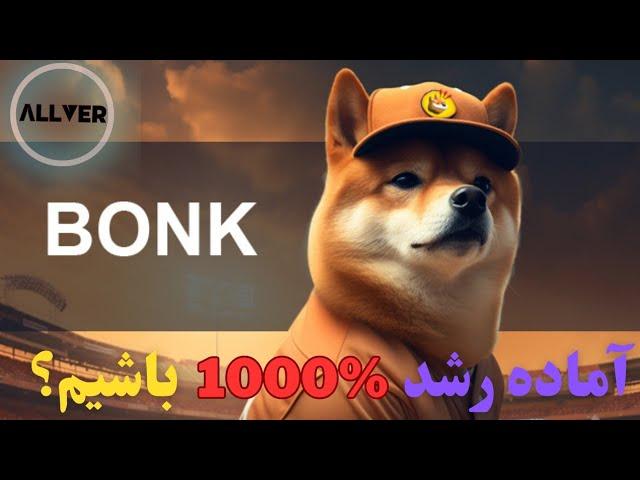 آماده رشد ۱۰۰۰ درصد برای میم کوین بونک bonk باشیم؟