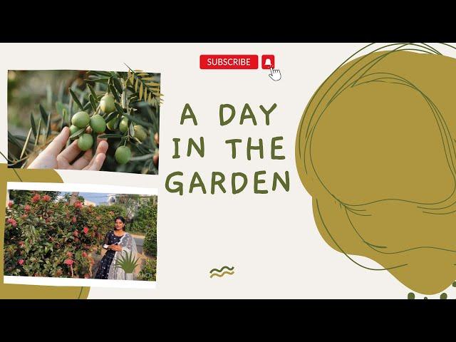 A Day In The Garden 🪴 || Garden Harvesting vlog || A day with farmer #gardeningtips#gardenharvest