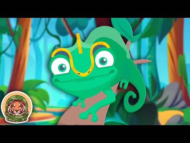 Meet The Chameleon! | Animal Songs For Kids | KLT WILD