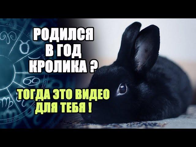 Родился в Год Кролика? Тогда это видео для тебя!