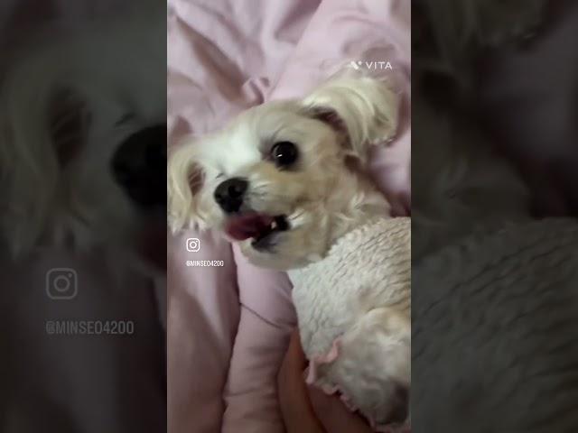 아프지말고 건강하자️