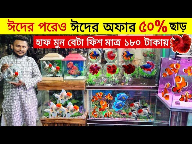 Aquarium Price In Bangladesh Aquarium Fish Price In Katabon Aquarium Fish Wholesale Market In BD