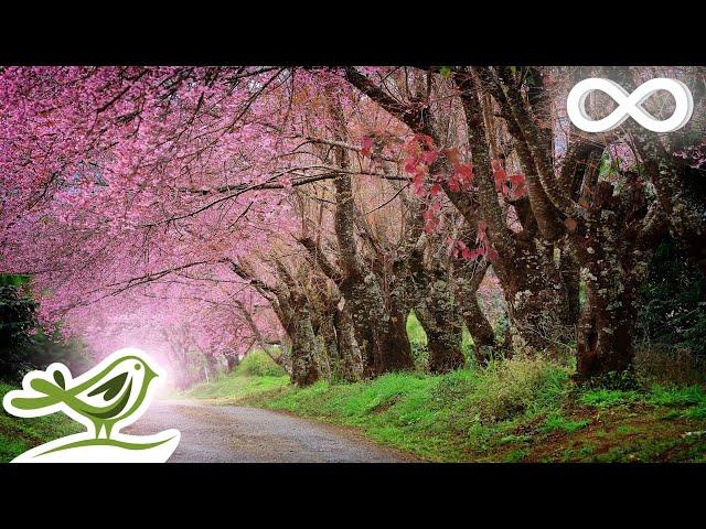 9 Hours of Relaxing Piano Music • Beautiful Sleep Music ("Our Future (Piano Version)")