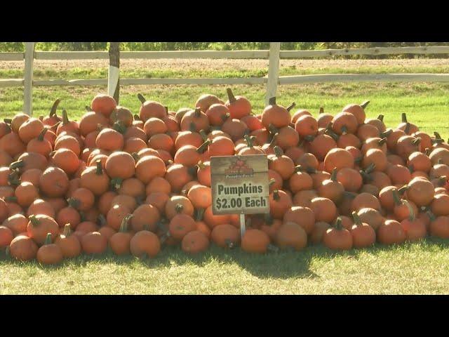 Berry Acres Open