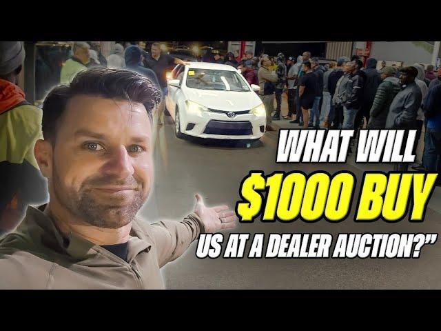 There are SO MANY CHEAP CARS at this Dealer Auction in Florida!