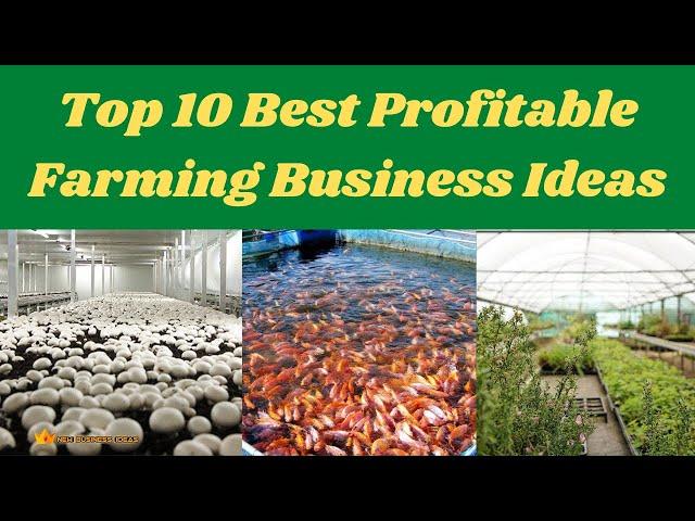 Top 10 Best Profitable Farming Business Ideas