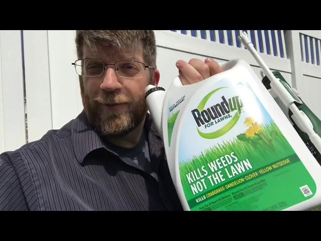 RoundUp for Lawns Review - Before and After - Does It Kill Weeds without Hurting Your Grass?