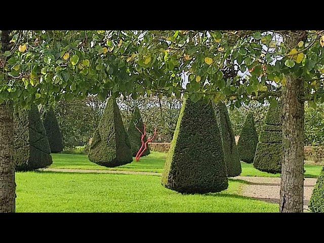 Jardin du Manoir de Nuyet à Savigné - L'Évêque 