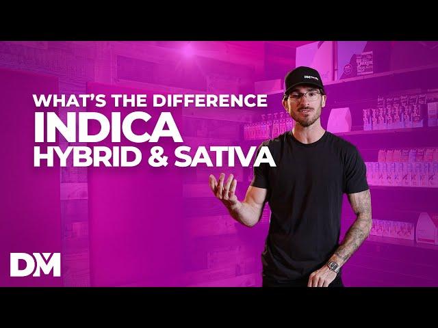 What Is The Difference Between Indica, Sativa, Hybrid - DistroMike