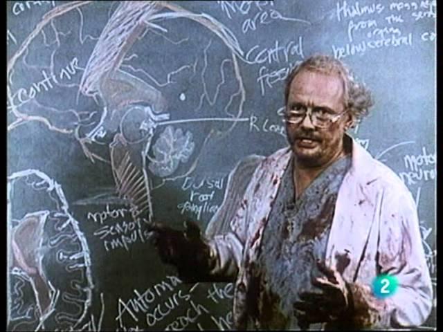 Filosofía zombi, de Jorge Fernández Gonzalo (2ª parte)