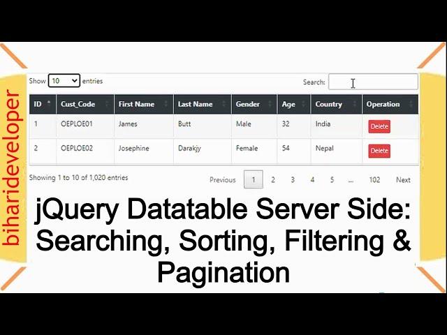 jQuery DataTable Server Side Searching, Sorting, Filtering, and Pagination #biharideveloper