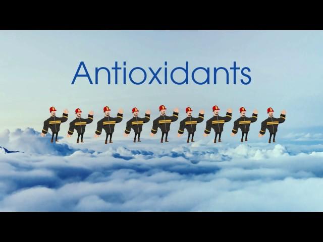 How do antioxidants keep you healthy?