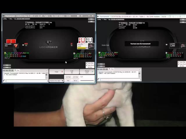 Hyper Turbo Poker on Revolution Network