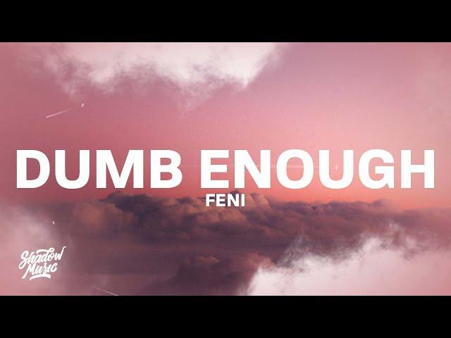 Feni - Dumb Enough (Lyrics) "sip patron but this aint got me drunk enough" [TikTok]