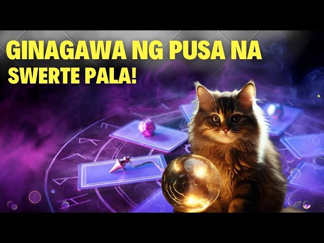 6 na Ginagawa ng PUSA na May Lihim na Kahulugan at Swerte!