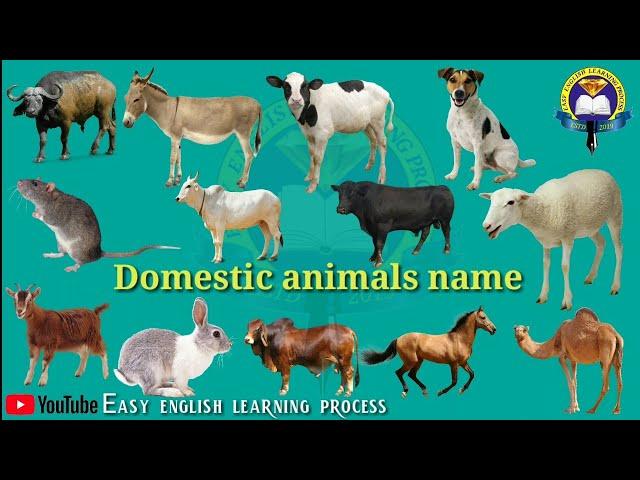 DOMESTIC ANIMALS NAME | Learn Domestic Animals Sounds and Names | Easy English Learning Process