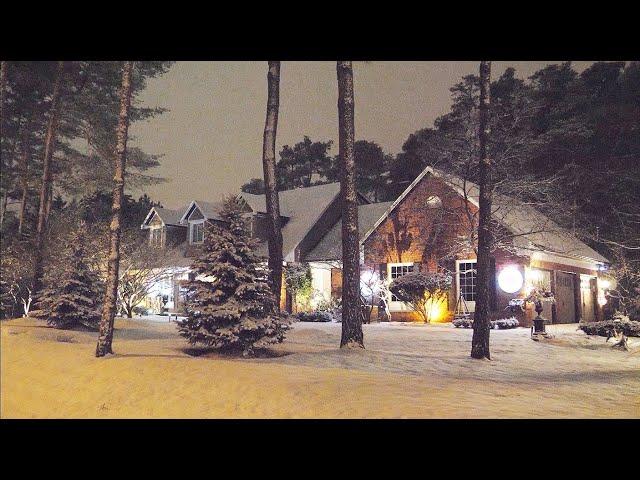 Snowy White Christmas Night Lights and Cozy Homes in Forest Toronto | 4K Relaxing Snow Falling video