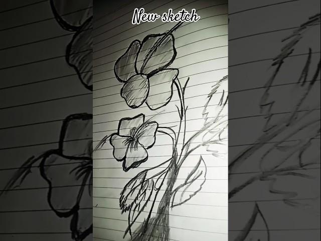 sketching #ayeshas